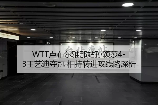 WTT卢布尔雅那站孙颖莎4-3王艺迪夺冠 相持转进攻线路深析
